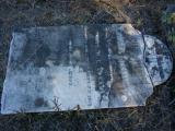 image of grave number 455211